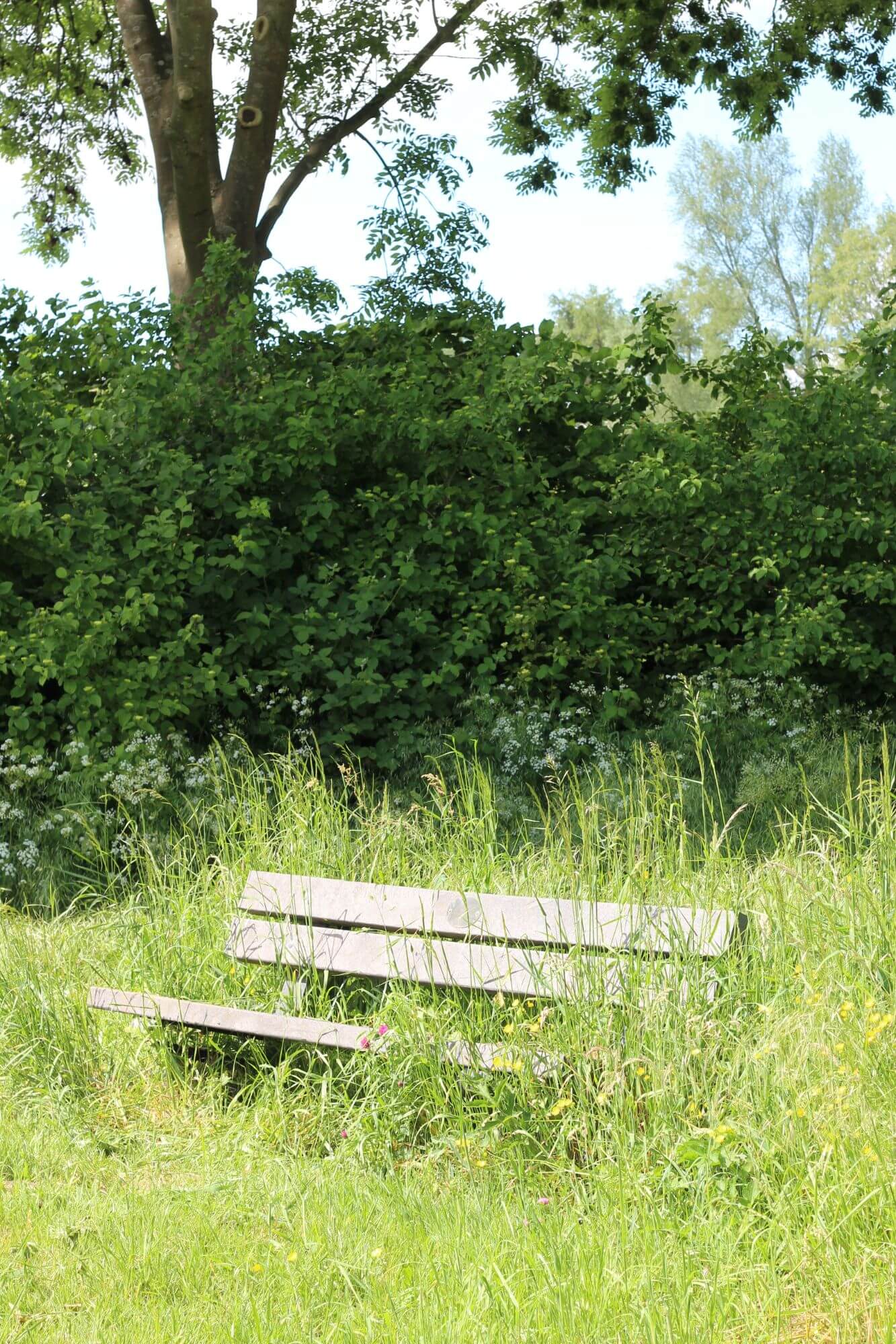 worphoek-drimmelen-groen-gebied (9)